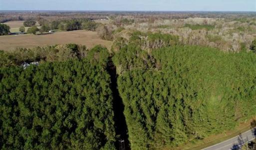 Photo of SOLD!!  22.72 Acres of Recreational Timberland For Sale in Washington County NC!