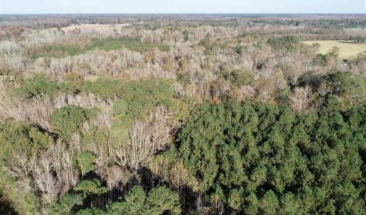 Photo of SOLD!!  22.72 Acres of Recreational Timberland For Sale in Washington County NC!