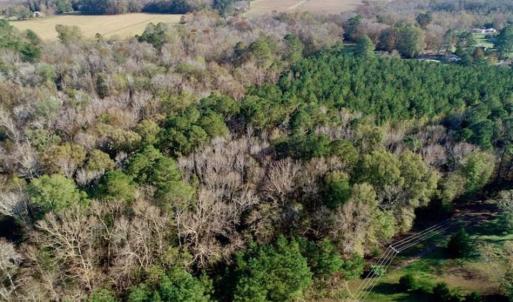 Photo of SOLD!!  22.72 Acres of Recreational Timberland For Sale in Washington County NC!