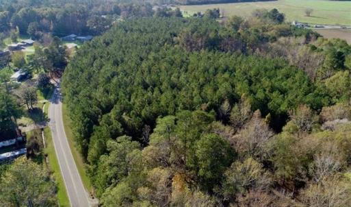 Photo of SOLD!!  22.72 Acres of Recreational Timberland For Sale in Washington County NC!