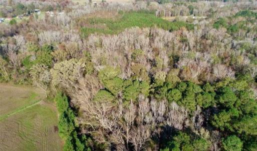 Photo of SOLD!!  22.72 Acres of Recreational Timberland For Sale in Washington County NC!