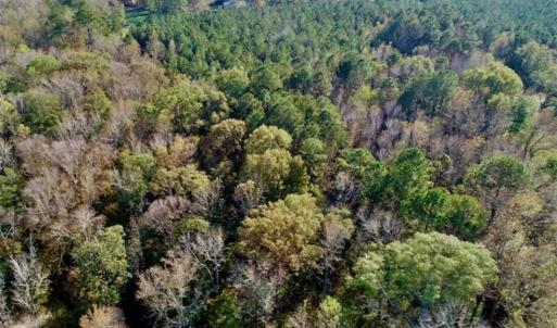 Photo of SOLD!!  22.72 Acres of Recreational Timberland For Sale in Washington County NC!