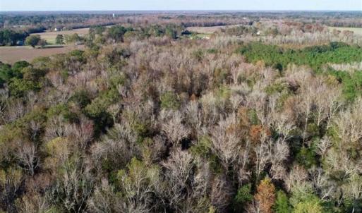 Photo of SOLD!!  22.72 Acres of Recreational Timberland For Sale in Washington County NC!