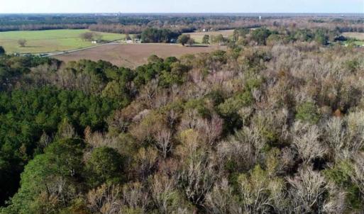 Photo of SOLD!!  22.72 Acres of Recreational Timberland For Sale in Washington County NC!