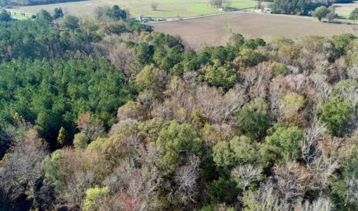 Photo of SOLD!!  22.72 Acres of Recreational Timberland For Sale in Washington County NC!