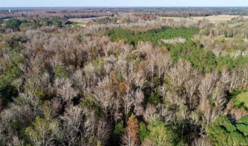 Photo of SOLD!!  22.72 Acres of Recreational Timberland For Sale in Washington County NC!