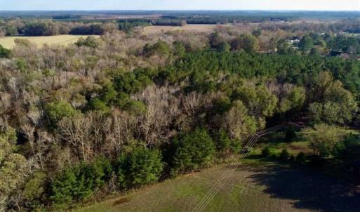 Photo of SOLD!!  22.72 Acres of Recreational Timberland For Sale in Washington County NC!