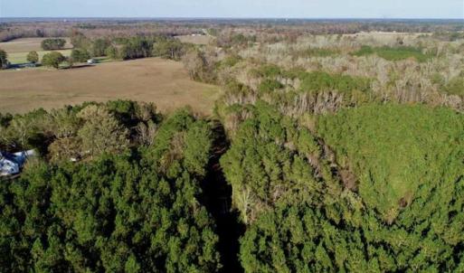 Photo of SOLD!!  22.72 Acres of Recreational Timberland For Sale in Washington County NC!