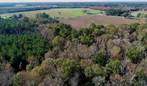 Photo of SOLD!!  22.72 Acres of Recreational Timberland For Sale in Washington County NC!