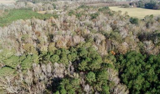 Photo of SOLD!!  22.72 Acres of Recreational Timberland For Sale in Washington County NC!