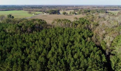 Photo of SOLD!!  22.72 Acres of Recreational Timberland For Sale in Washington County NC!