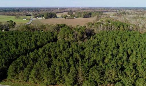 Photo of SOLD!!  22.72 Acres of Recreational Timberland For Sale in Washington County NC!