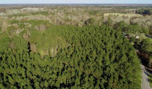 Photo of SOLD!!  22.72 Acres of Recreational Timberland For Sale in Washington County NC!