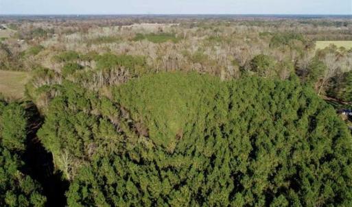 Photo of SOLD!!  22.72 Acres of Recreational Timberland For Sale in Washington County NC!