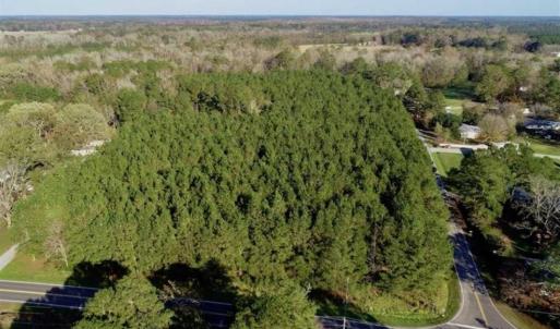 Photo of SOLD!!  22.72 Acres of Recreational Timberland For Sale in Washington County NC!