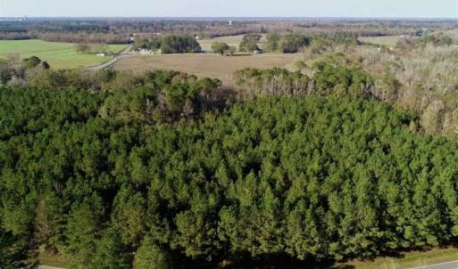 Photo of SOLD!!  22.72 Acres of Recreational Timberland For Sale in Washington County NC!