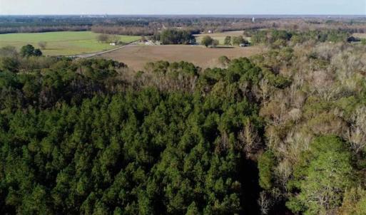 Photo of SOLD!!  22.72 Acres of Recreational Timberland For Sale in Washington County NC!