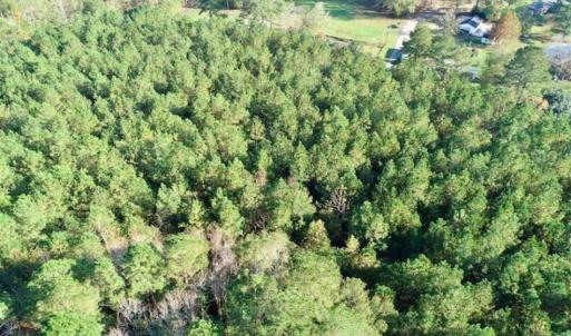 Photo of SOLD!!  22.72 Acres of Recreational Timberland For Sale in Washington County NC!