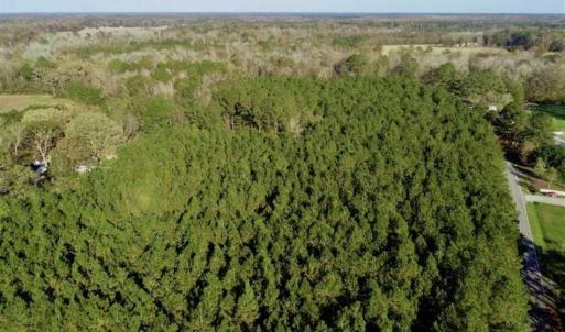 Photo of SOLD!!  22.72 Acres of Recreational Timberland For Sale in Washington County NC!