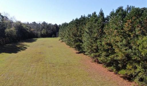 Photo of 11.46 Ac of Development Land For Sale in Downtown Fairmont in Robeson County NC!