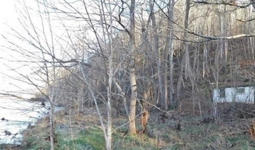Photo of 47.72 Acres of Riverfront Hunting Land For Sale in Pulaski County VA!