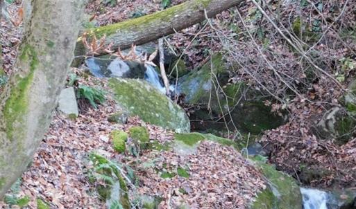 Photo of 47.72 Acres of Riverfront Hunting Land For Sale in Pulaski County VA!