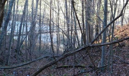 Photo of 47.72 Acres of Riverfront Hunting Land For Sale in Pulaski County VA!