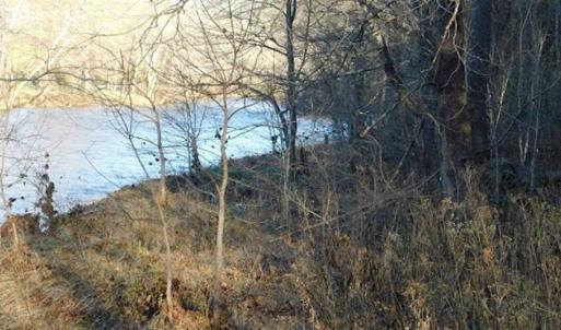Photo of 47.72 Acres of Riverfront Hunting Land For Sale in Pulaski County VA!