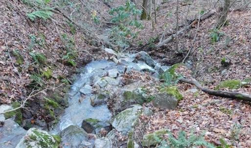 Photo of 47.72 Acres of Riverfront Hunting Land For Sale in Pulaski County VA!