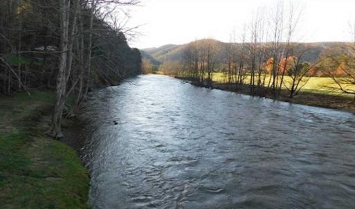 Photo of 47.72 Acres of Riverfront Hunting Land For Sale in Pulaski County VA!