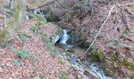 Photo of 47.72 Acres of Riverfront Hunting Land For Sale in Pulaski County VA!