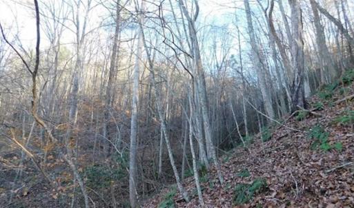 Photo of 47.72 Acres of Riverfront Hunting Land For Sale in Pulaski County VA!