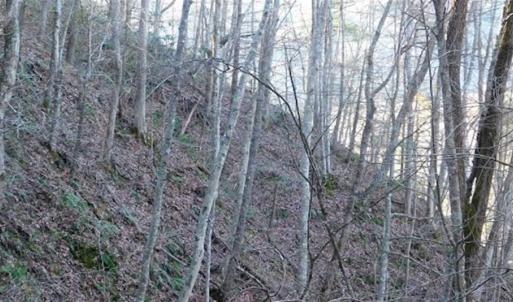 Photo of 47.72 Acres of Riverfront Hunting Land For Sale in Pulaski County VA!