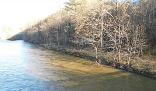Photo of 47.72 Acres of Riverfront Hunting Land For Sale in Pulaski County VA!