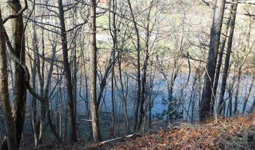 Photo of 47.72 Acres of Riverfront Hunting Land For Sale in Pulaski County VA!