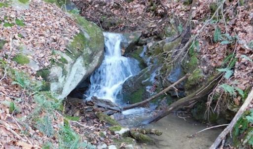 Photo of 47.72 Acres of Riverfront Hunting Land For Sale in Pulaski County VA!