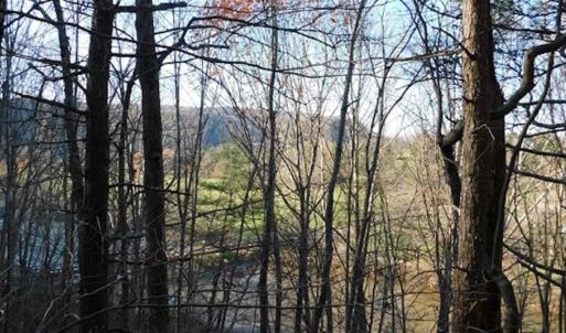Photo of 47.72 Acres of Riverfront Hunting Land For Sale in Pulaski County VA!