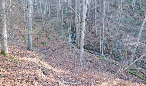 Photo of 47.72 Acres of Riverfront Hunting Land For Sale in Pulaski County VA!