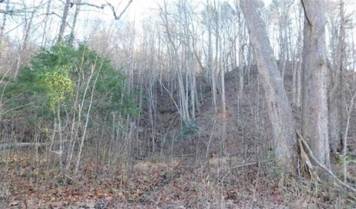 Photo of 47.72 Acres of Riverfront Hunting Land For Sale in Pulaski County VA!