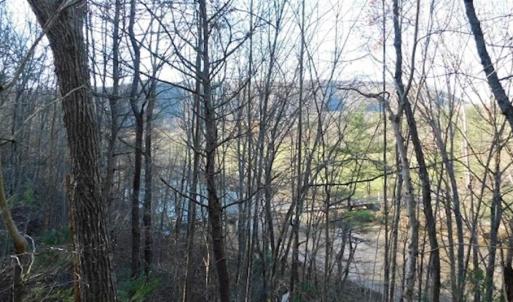 Photo of 47.72 Acres of Riverfront Hunting Land For Sale in Pulaski County VA!