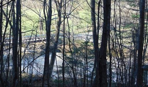 Photo of 47.72 Acres of Riverfront Hunting Land For Sale in Pulaski County VA!