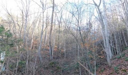 Photo of 47.72 Acres of Riverfront Hunting Land For Sale in Pulaski County VA!