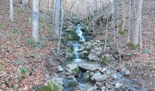 Photo of 47.72 Acres of Riverfront Hunting Land For Sale in Pulaski County VA!