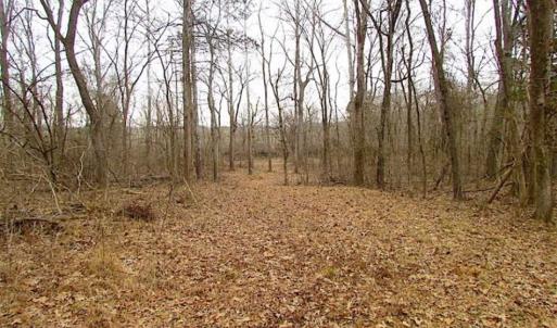 Photo of UNDER CONTRACT!!  119 Acres of Riverfront Land For Sale in Culpeper County VA!