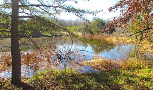 Photo of UNDER CONTRACT!!  119 Acres of Riverfront Land For Sale in Culpeper County VA!