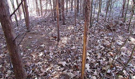 Photo of UNDER CONTRACT!!  119 Acres of Riverfront Land For Sale in Culpeper County VA!