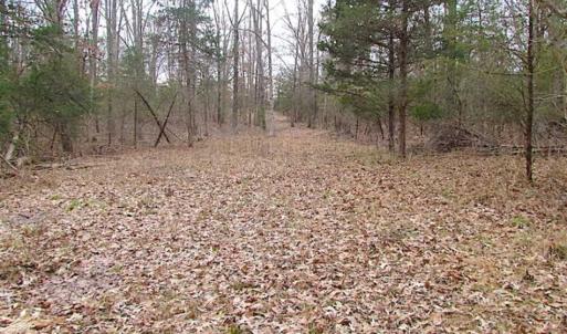 Photo of UNDER CONTRACT!!  119 Acres of Riverfront Land For Sale in Culpeper County VA!