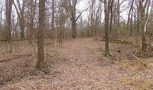 Photo of UNDER CONTRACT!!  119 Acres of Riverfront Land For Sale in Culpeper County VA!
