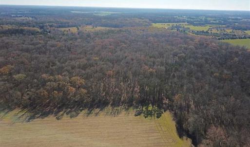 Photo of UNDER CONTRACT!!  99 Acres of Hunting Land For Sale in Culpeper County VA!