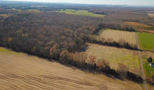 Photo of UNDER CONTRACT!!  99 Acres of Hunting Land For Sale in Culpeper County VA!